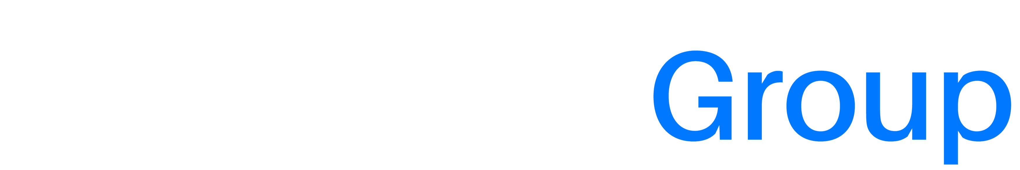 Randisi Group
